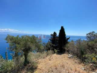 Αγροτεμάχια 6.800 τ.μ. προς πώληση, Τυρός-thumb-14