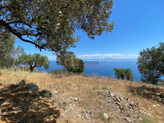 Αγροτεμάχια 6.800 τ.μ. προς πώληση, Τυρός-thumb-23
