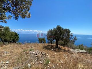 Αγροτεμάχια 6.800 τ.μ. προς πώληση, Τυρός-thumb-11