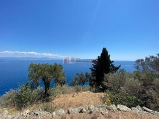 Αγροτεμάχια 6.800 τ.μ. προς πώληση, Τυρός-thumb-16