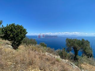 Αγροτεμάχια 6.800 τ.μ. προς πώληση, Τυρός-thumb-19