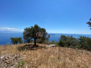 Αγροτεμάχια 6.800 τ.μ. προς πώληση, Τυρός-thumb-22
