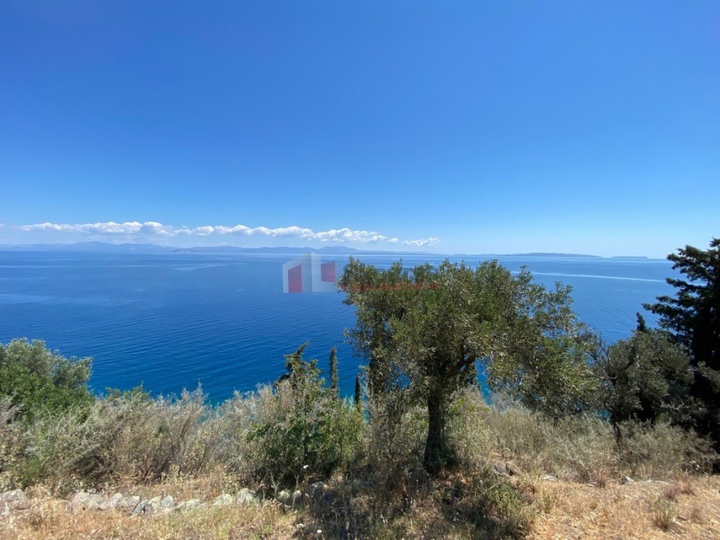Αγροτεμάχια 6.800 τ.μ. προς πώληση, Τυρός