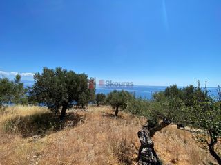 Αγροτεμάχια 6.800 τ.μ. προς πώληση, Τυρός-thumb-8