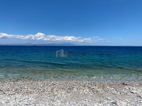 Αγροτεμάχια 2.400τ.μ. για πώληση-Απόλλωνας