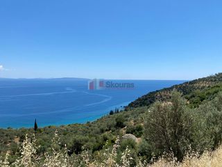 Αγροτεμάχια 6.500 τ.μ. για πώληση, Αρκαδία, Απόλλωνας-thumb-8