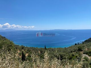 Αγροτεμάχια 6.500 τ.μ. για πώληση, Αρκαδία, Απόλλωνας-thumb-7
