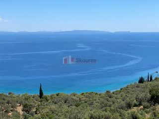 Αγροτεμάχια 6.500 τ.μ. για πώληση, Αρκαδία, Απόλλωνας-thumb-12