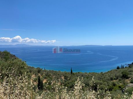 Αγροτεμάχια 6.500τ.μ. για πώληση-Απόλλωνας