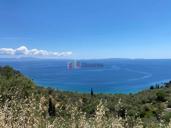 Αγροτεμάχια 6.500 τ.μ. για πώληση, Αρκαδία, Απόλλωνας