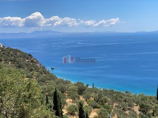 Αγροτεμάχια 6.500 τ.μ. για πώληση, Αρκαδία, Απόλλωνας-thumb-11