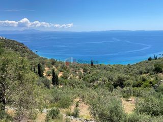 Αγροτεμάχια 6.500 τ.μ. για πώληση, Αρκαδία, Απόλλωνας-thumb-9