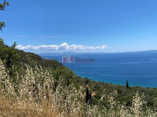 Αγροτεμάχια 6.500 τ.μ. για πώληση, Αρκαδία, Απόλλωνας-thumb-6