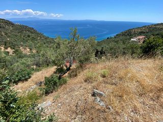 Αγροτεμάχια 6.500 τ.μ. για πώληση, Αρκαδία, Απόλλωνας-thumb-1