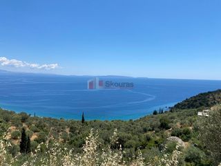 Αγροτεμάχια 6.500 τ.μ. για πώληση, Αρκαδία, Απόλλωνας-thumb-5