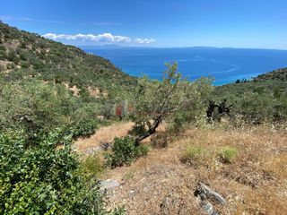 Αγροτεμάχια 6.500 τ.μ. για πώληση, Αρκαδία, Απόλλωνας-thumb-14