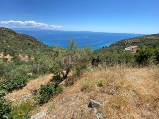 Αγροτεμάχια 6.500 τ.μ. για πώληση, Αρκαδία, Απόλλωνας-thumb-15