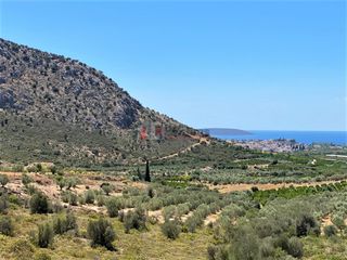 Μονοκατοικία 215 τ.μ. προς πώληση, Λευκάκια-thumb-5