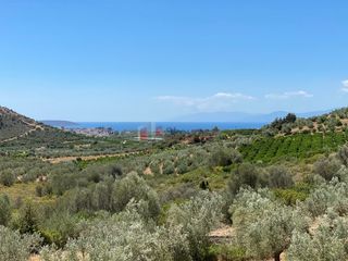 Μονοκατοικία 215 τ.μ. προς πώληση, Λευκάκια-thumb-19