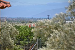 Μονοκατοικία 62 τ.μ. για πώληση, Αργολίδα, Μιδέα-thumb-21