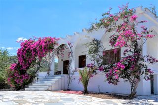 Μονοκατοικία 100 τ.μ. για πώληση