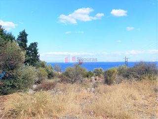 Αγροτεμάχια 1.000 τ.μ. για πώληση, Κορινθία, Σολύγεια-thumb-9