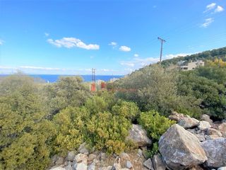 Αγροτεμάχια 1.000 τ.μ. για πώληση, Κορινθία, Σολύγεια-thumb-15