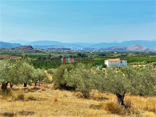 Αγροτεμάχια 5.200 τ.μ. για πώληση