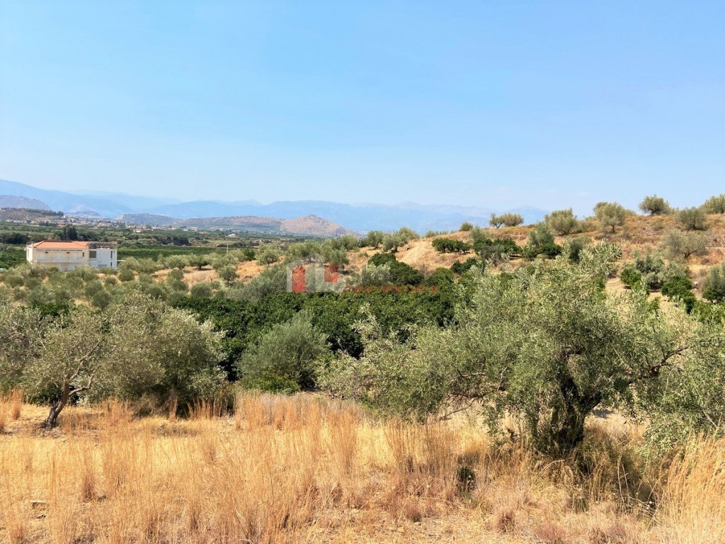 Αγροτεμάχια 5.200 τ.μ. προς πώληση, Νέο Ροεινό