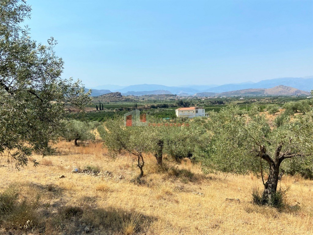 Αγροτεμάχια 5.200 τ.μ. προς πώληση, Νέο Ροεινό