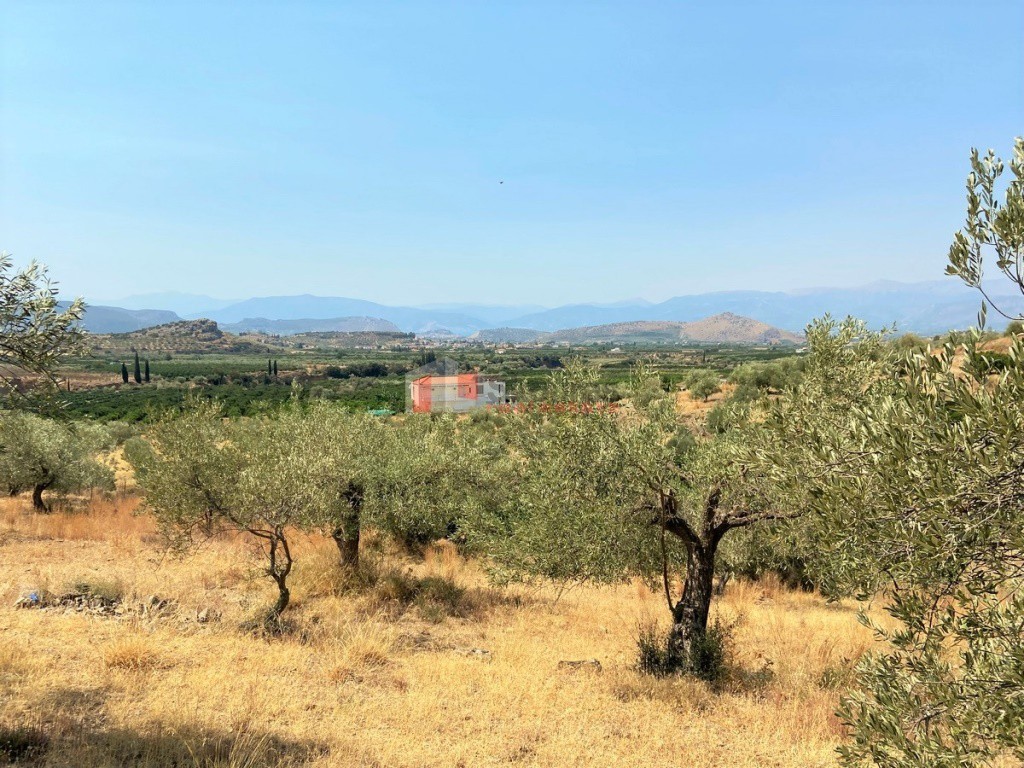 Αγροτεμάχια 5.200 τ.μ. προς πώληση, Νέο Ροεινό