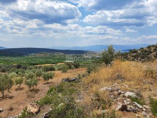 Αγροτεμάχια 18.000 τ.μ. για πώληση