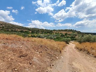 Αγροτεμάχια 18.000 τ.μ. για πώληση, Αργολίδα, Ασίνη-thumb-6