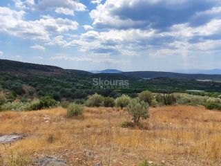 Αγροτεμάχια 18.000 τ.μ. για πώληση, Αργολίδα, Ασίνη-thumb-9