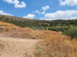 Αγροτεμάχια 18.000 τ.μ. για πώληση, Αργολίδα, Ασίνη-thumb-16
