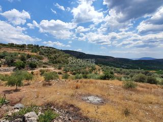 Αγροτεμάχια 18.000 τ.μ. για πώληση, Αργολίδα, Ασίνη-thumb-13