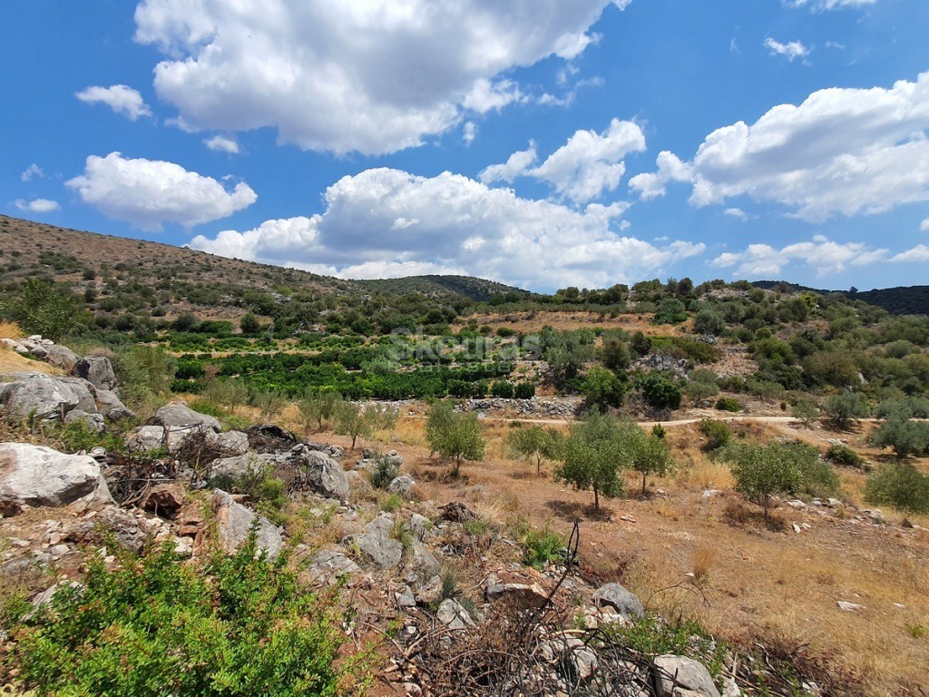 Αγροτεμάχια 18.000 τ.μ. προς πώληση, Δρέπανο Ασίνης
