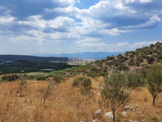 Αγροτεμάχια 18.000 τ.μ. για πώληση, Αργολίδα, Ασίνη-thumb-8