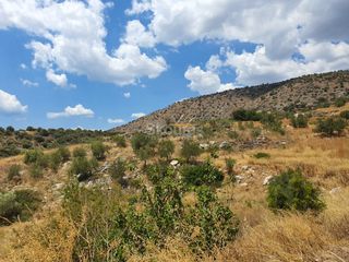 Αγροτεμάχια 18.000 τ.μ. για πώληση, Αργολίδα, Ασίνη-thumb-21