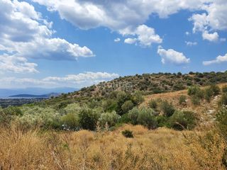 Αγροτεμάχια 18.000 τ.μ. για πώληση, Αργολίδα, Ασίνη-thumb-19
