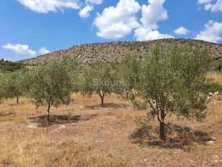 Αγροτεμάχια 18.000 τ.μ. για πώληση, Αργολίδα, Ασίνη-thumb-2
