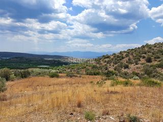Αγροτεμάχια 18.000 τ.μ. για πώληση, Αργολίδα, Ασίνη-thumb-11