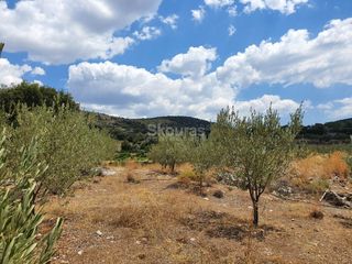 Αγροτεμάχια 18.000 τ.μ. για πώληση, Αργολίδα, Ασίνη-thumb-22