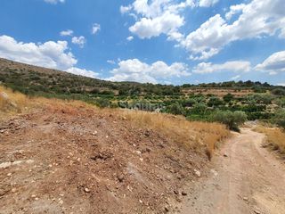 Αγροτεμάχια 18.000 τ.μ. για πώληση, Αργολίδα, Ασίνη-thumb-17