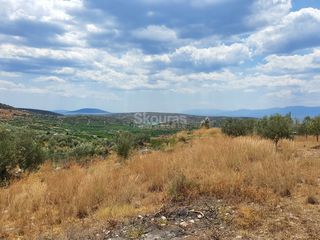 Αγροτεμάχια 18.000 τ.μ. για πώληση, Αργολίδα, Ασίνη-thumb-15