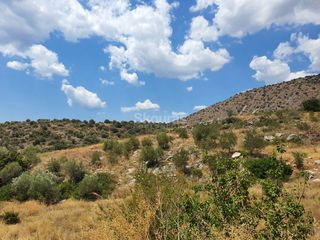 Αγροτεμάχια 18.000 τ.μ. για πώληση, Αργολίδα, Ασίνη-thumb-18