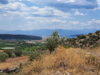 Αγροτεμάχια 18.000 τ.μ. για πώληση, Αργολίδα, Ασίνη-thumb-1