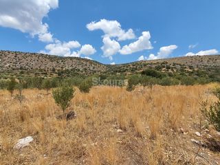 Αγροτεμάχια 18.000 τ.μ. για πώληση, Αργολίδα, Ασίνη-thumb-5