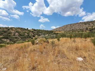 Αγροτεμάχια 18.000 τ.μ. για πώληση, Αργολίδα, Ασίνη-thumb-10