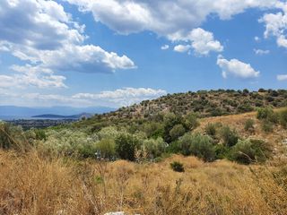 Αγροτεμάχια 18.000 τ.μ. για πώληση, Αργολίδα, Ασίνη-thumb-20